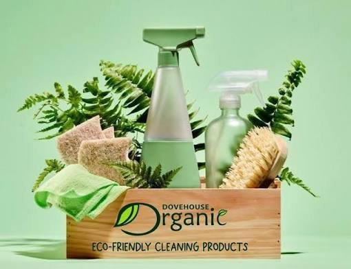 eco-friendly cleaning products